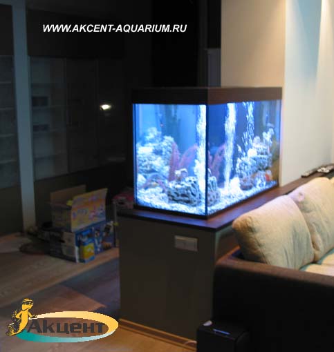 Акцент-аквариум,аквариум 450 литров просмотровый